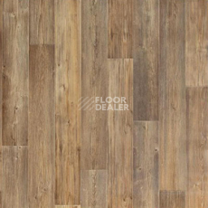Линолеум Tarkett Sprint Pro Toronto 1 фото 1 | FLOORDEALER
